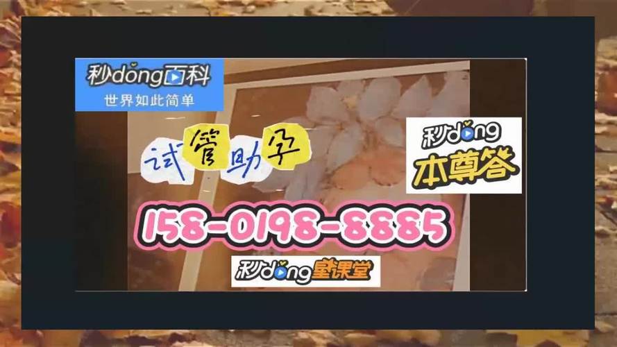 供卵试管代怀违法吗-供卵试管代怀违法吗?法律与道德的边界探讨