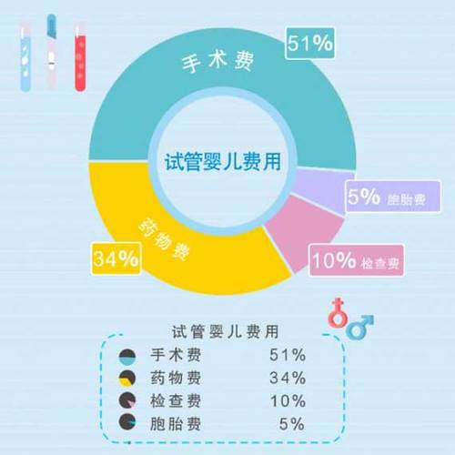 供卵试管代怀咨询机构-供卵试管代怀咨询机构:专业指导与服务