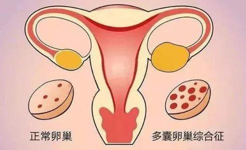 供卵很多不成功的(供卵繁多却不成功)
