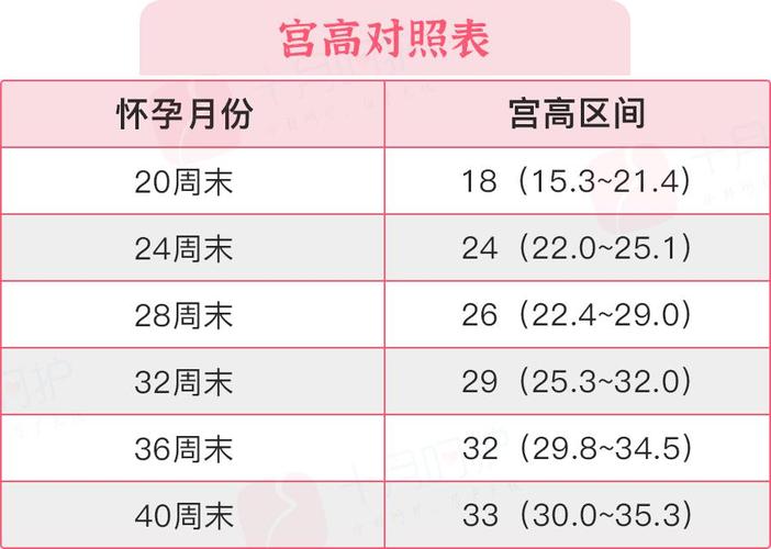 供卵试管代怀有吗【供卵试管代怀有吗:全面解析代孕流程和风险】