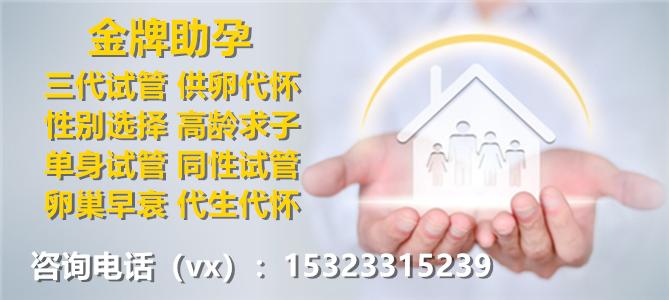 供卵怀孕包男孩-实现梦想供卵怀孕包男孩计划指南”