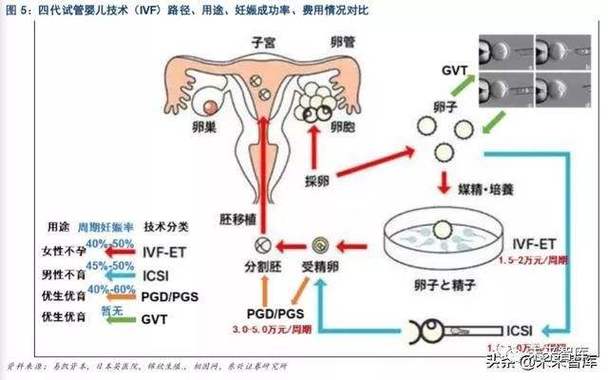 供卵生子的风险(供卵生子风险揭秘:你需要知道的重要事项)