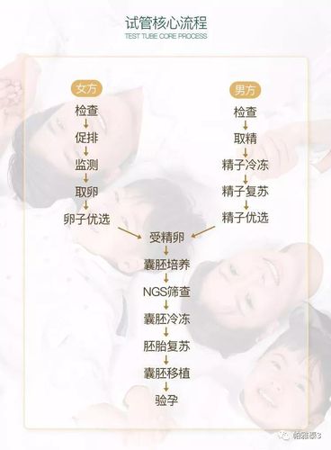 供卵试管怎么申请_供卵试管申请流程详解