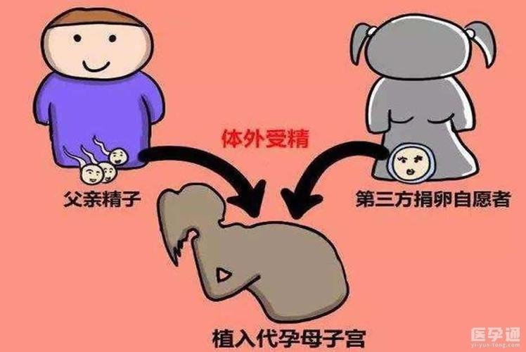 供卵试管婴儿能成功吗_供卵试管婴儿成功率如何?