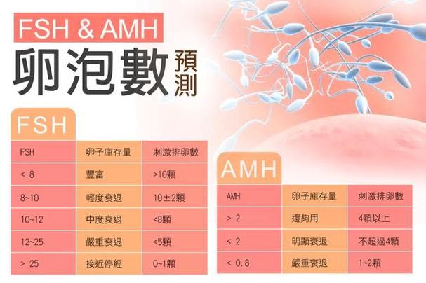 供卵试管费用多少钱呢?(供卵试管费用多少钱呢?)